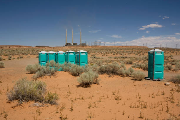Best Tree Risk Assessment  in Plentywood, MT